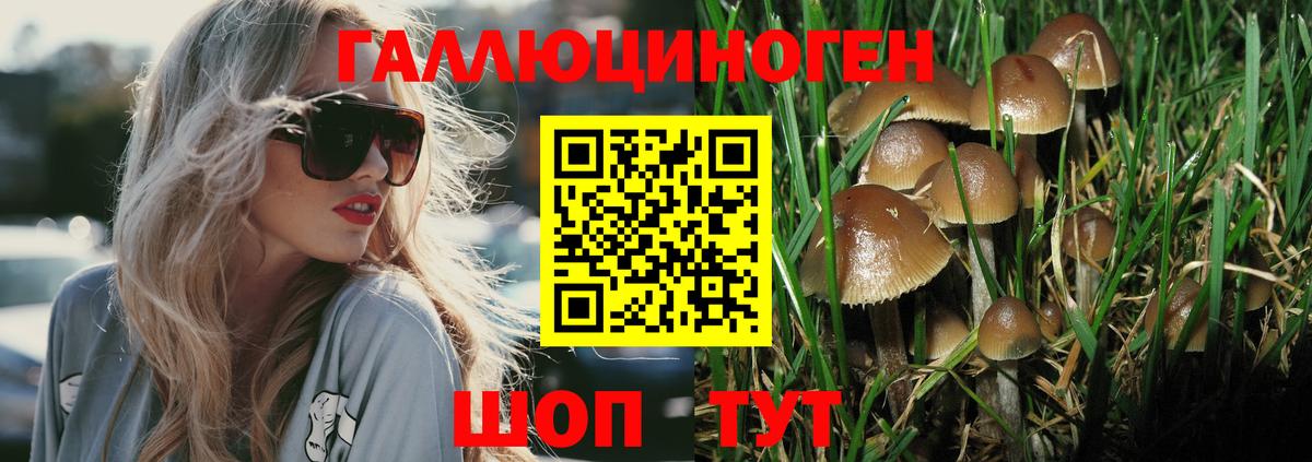 Псилоцибиновые грибы GOLDEN TEACHER  Вход с VPN  Кстово 